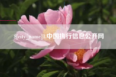 安达1.中国执行信息公开网