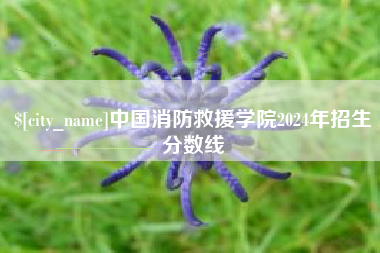 安达中国消防救援学院2024年招生分数线