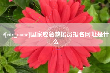 安达国家应急救援员报名网址是什么
