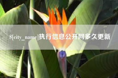 安达执行信息公开网多久更新
