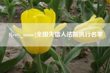 安达全国失信人法院执行名单
