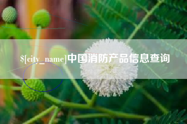 安达中国消防产品信息查询