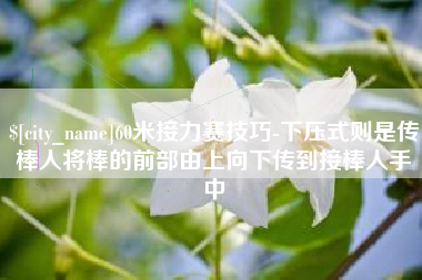 安达60米接力赛技巧-下压式则是传棒人将棒的前部由上向下传到接棒人手中