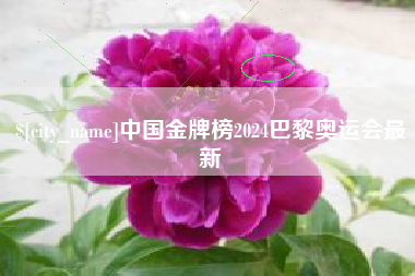 安达中国金牌榜2024巴黎奥运会最新
