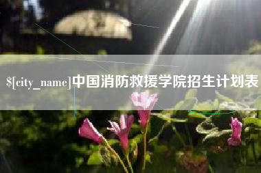 安达中国消防救援学院招生计划表