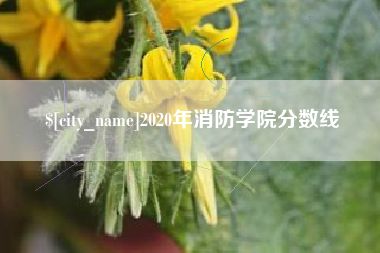 安达2020年消防学院分数线