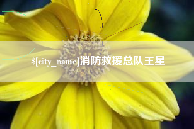安达消防救援总队王星
