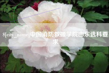 安达中国消防救援学院山东选科要求