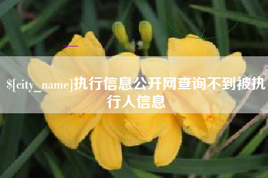 安达执行信息公开网查询不到被执行人信息
