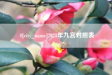 安达2021年九宫对照表