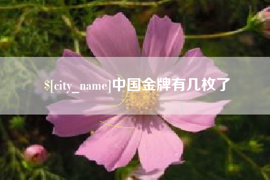 安达中国金牌有几枚了