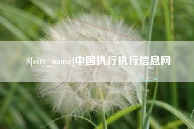 安达中国执行执行信息网