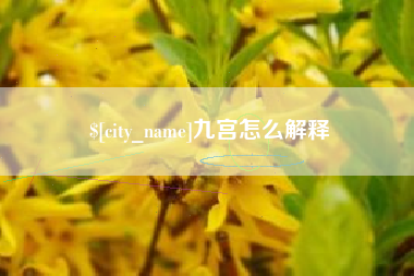 安达九宫怎么解释