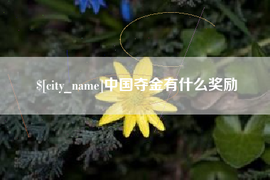 安达中国夺金有什么奖励