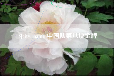 安达中国队第八块金牌