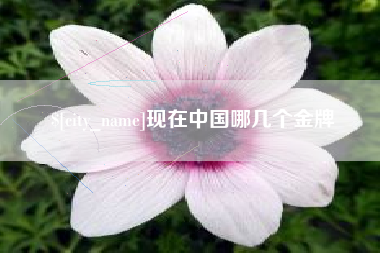 安达现在中国哪几个金牌