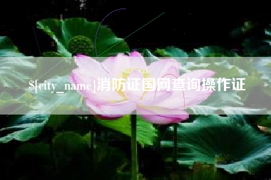 安达消防证国网查询操作证