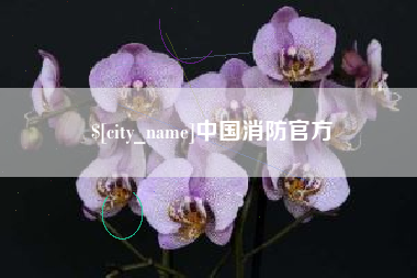 安达中国消防官方