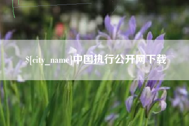 安达中国执行公开网下载