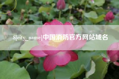 安达中国消防官方网站域名