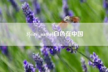 安达白色在中国