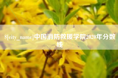 安达中国消防救援学院2020年分数线