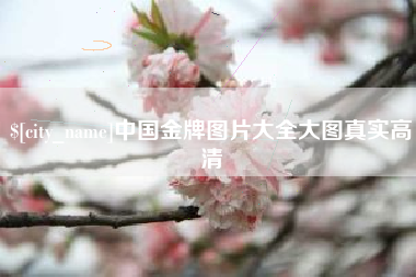 安达中国金牌图片大全大图真实高清