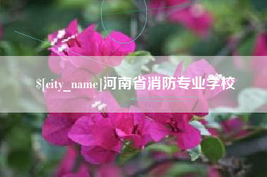 安达河南省消防专业学校