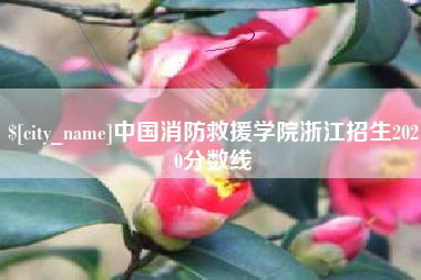 安达中国消防救援学院浙江招生2020分数线