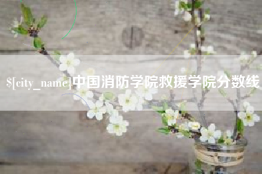 安达中国消防学院救援学院分数线