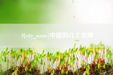 安达中国的几个金牌