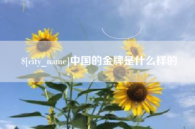 安达中国的金牌是什么样的