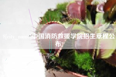 安达中国消防救援学院招生章程公布!
