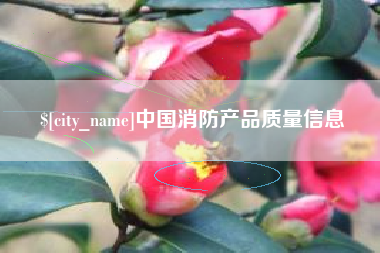 安达中国消防产品质量信息