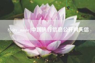 安达中国执行信息公开网失信