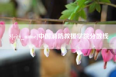 安达中国消防救援学院分数线