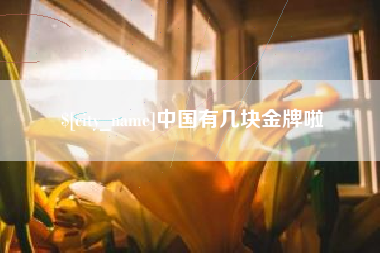 安达中国有几块金牌啦