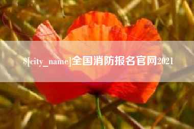 安达全国消防报名官网2021