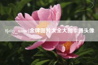 安达金牌图片大全大图卡通头像
