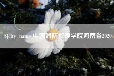 安达中国消防救援学院河南省2020