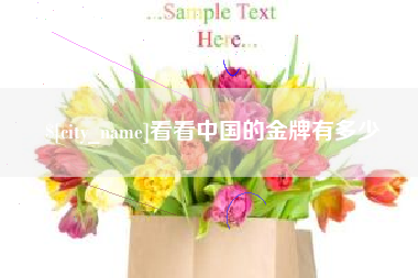 安达看看中国的金牌有多少